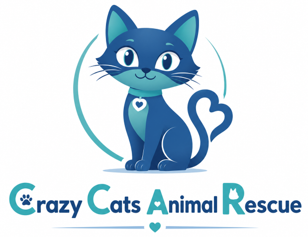 Crazy Cats Animal Rescue